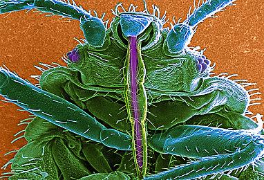 《魔界战记》系列全球销量突破500万 促销活动开启